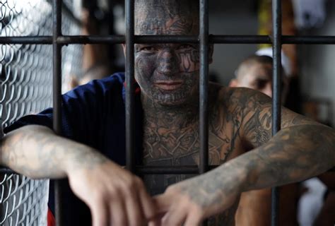 Ms 13 Gang Member Sentenced To 20 Years For Machete Attack
