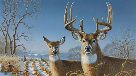 Deer Desktop Wallpaper Hd Dibandingkan