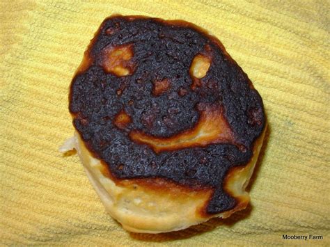 Burned Biscuits Burnt Food Food Foodstuff