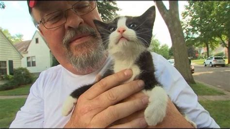 Kitten Survives 200 Mile Trip Beneath Car Hood Life With Cats