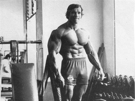 Arnold Schwarzenegger Wallpaper 4k Wallpaperforu