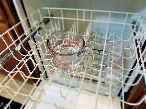 How To Remove Mold From Your Dishwasher Eagle Service Company