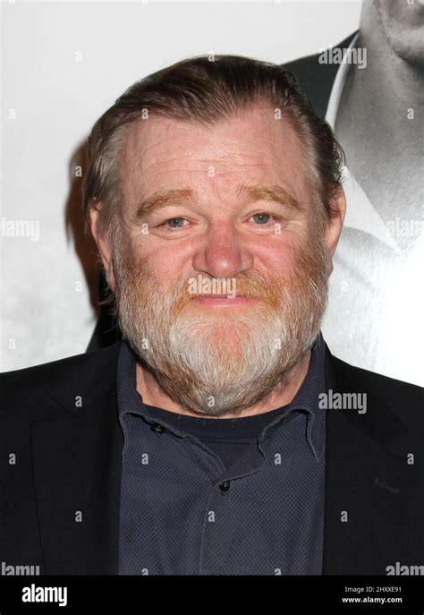 Brendan Gleeson During The Safe House New York Premiere Held At The