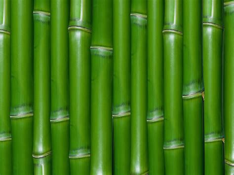 Bamboo Wall Wallpapers ~ Desktop Wallpaper