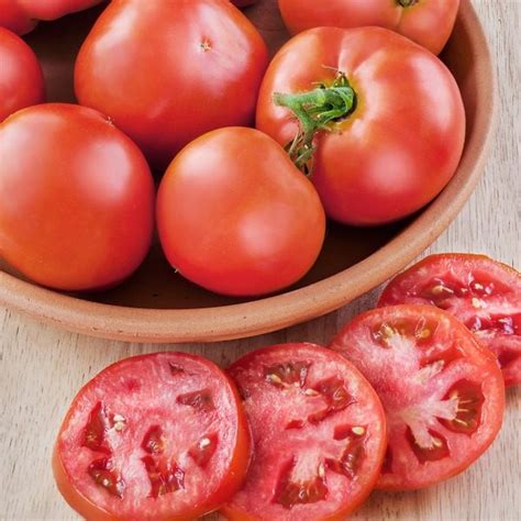 Better Bush Hybrid Tomato Edmonton Horticultural Society