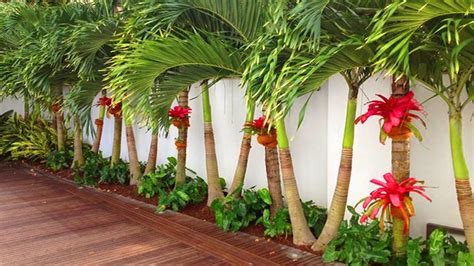 Best Ways To Design Palm Tree Landscape Around Your Garden Youtube