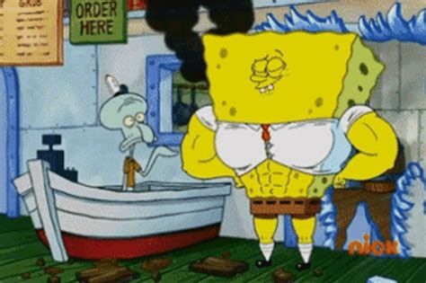 spongebob squidward spongebob squidward squidbob discover and share s