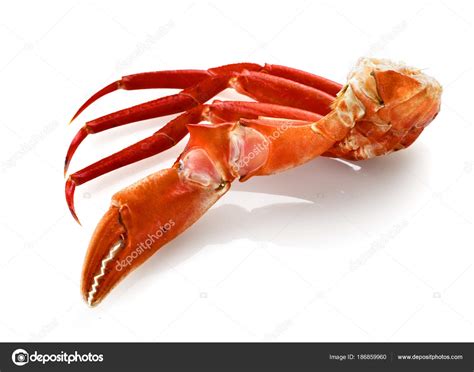 Red King Crab Legs Isolated Stock Photo By ©estudiosaavedra 186859960