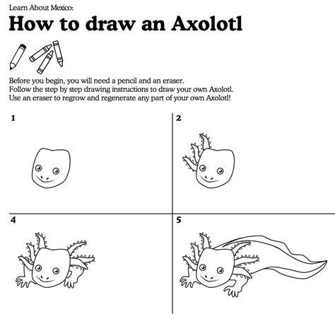 Axolotl Drawing Easy How To Draw An Axolotl Step By Step Easy Easy Images