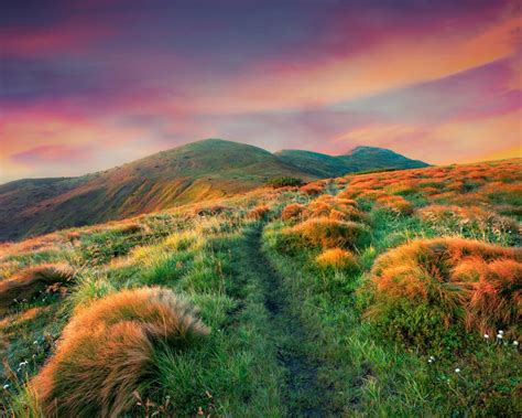Colorful Summer Sunrise In The Foggy Mountains Stock Image Image Of