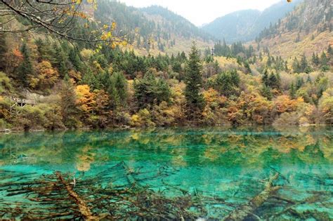 Five Flower Lake Jiuzhaigou National Park National Parks Incredible
