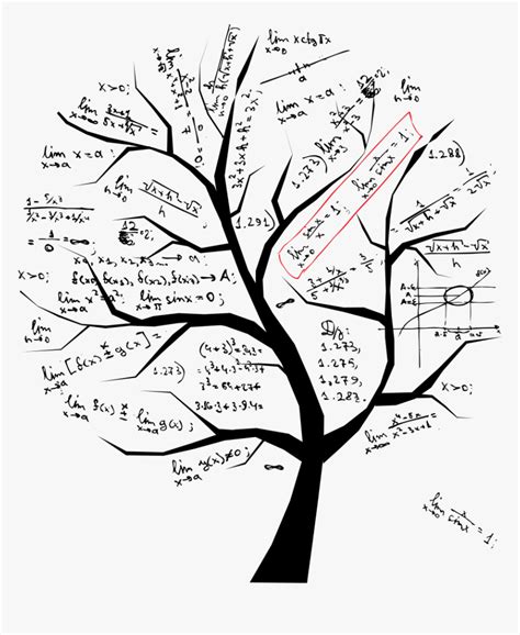Math Tree Hd Png Download Kindpng
