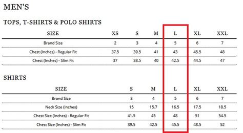 Lacoste Shoe Size Chart