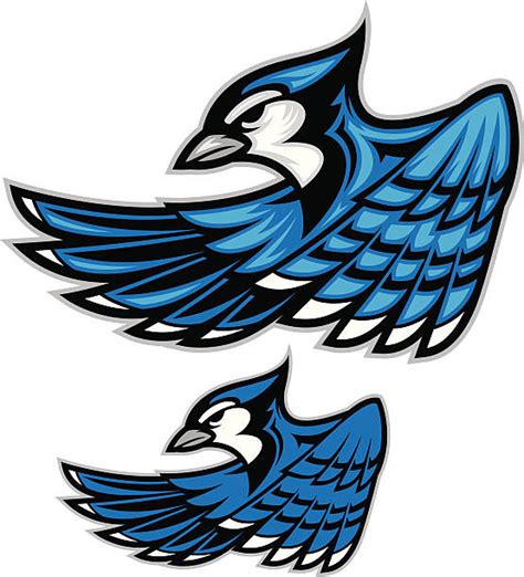 Blue Jay Illustrations Royalty Free Vector Graphics And Clip Art Istock