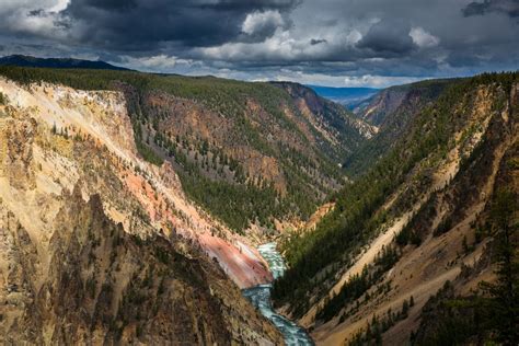 Value Of Having A Local Tour Operating During Yellowstone National Park