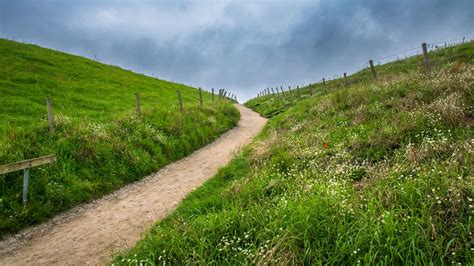 Wallpaper Path Hills Grass Nature Fence Hd Picture Image