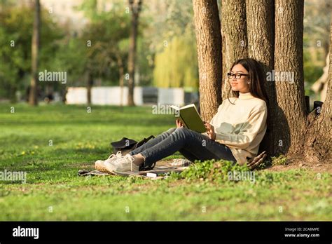 Girl Reading A Book Sitting Under The Tree In Park Stock Photo Alamy
