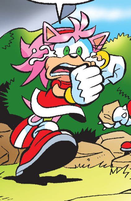 Amy Rose Crying Sonic X