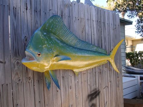65 Inch Bull Dolphin Fish Mount Replica Reproduction For Sale