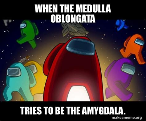 When The Medulla Oblongata Tries To Be The Amygdala Among Us Make