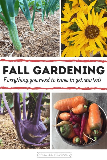 Organic Gardening Tips Gardening 101 Gardening For Beginners Autumn