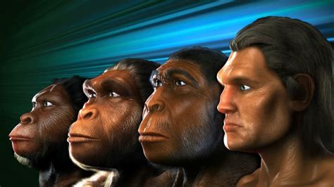 Four Other Humans Species Lived Alongside Modern Humans Paranormalis