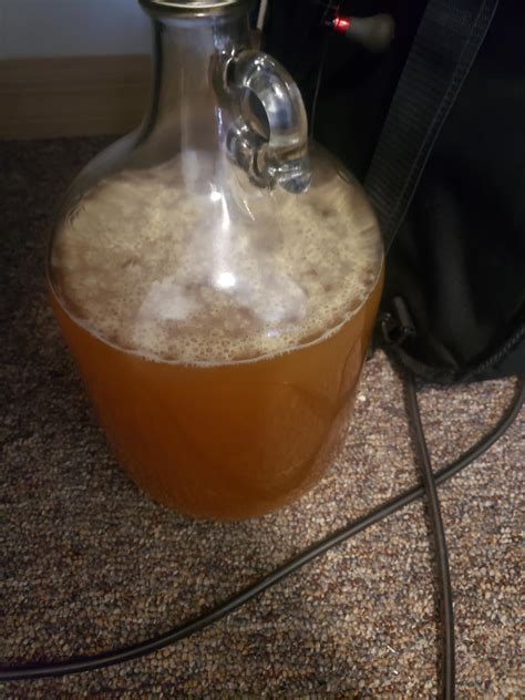 Bubbles During My Secondary Fermentation Is This Normal Rmead