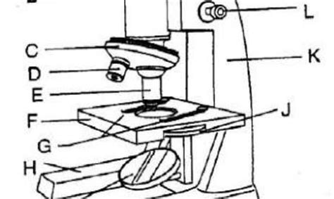 Bagian Bab Mikroskop Dan Fungsinya Beserta Gambar Soal Terbaru Vrogue