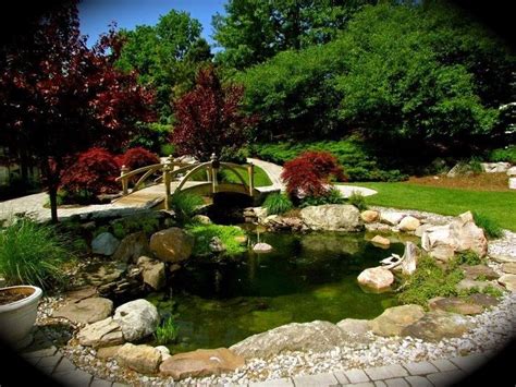 Peaceful Koi Pond Водный сад Дизайн озеленение Озеленение