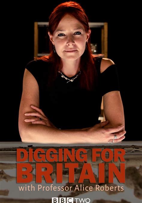 Digging For Britain Season 9 Watch Episodes Streaming Online