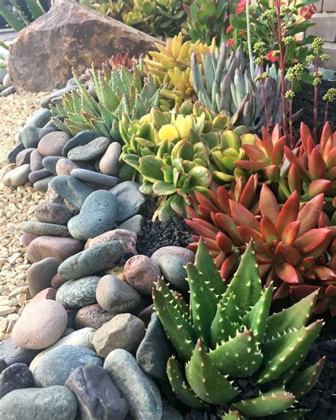 Incredible Cactus Garden Landscaping Ideas Best For Summer