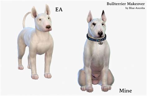 Bullterrier Makeover At Blue Ancolia Sims 4 Updates
