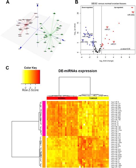 microrna mirna expression profiling of seoc and normal ovarian download scientific diagram