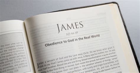 James - Complete Bible Book Chapters and Summary - New International