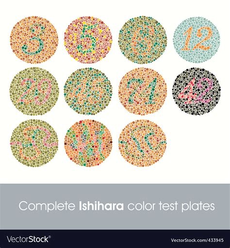 Complete Ishihara Color Test Royalty Free Vector Image