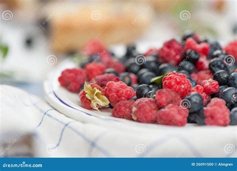 Wild Berries Fresh From The Wood Stock Photo Image Of Background