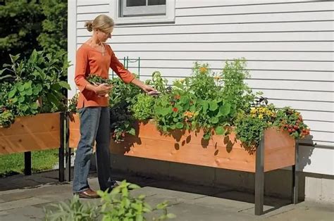 Self Watering Eco Stained Elevated Planter Box Deferred