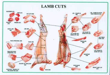 Meat is an important source of nutrition for people around the world. Beef Offals Chart | Lamb Cuts Poster | MeatWorld ...