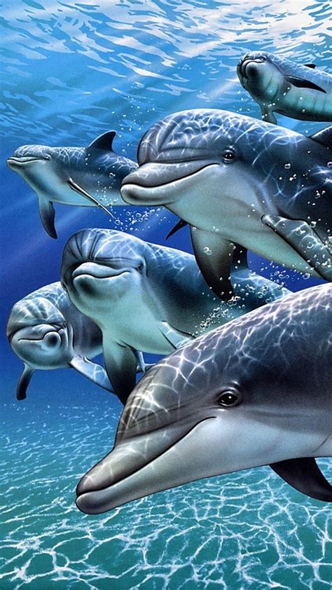 Iphone Dolphin Vertebrate Common Bottlenose Dolphins Hd Phone