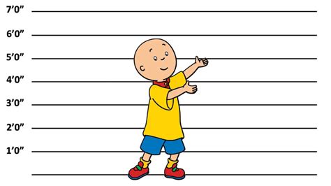 How Tall Is Caillou The Answer May Surprise You