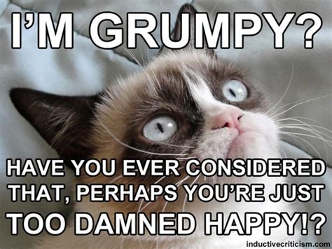 3678 Best Images About Grumpy Cat On Pinterest T