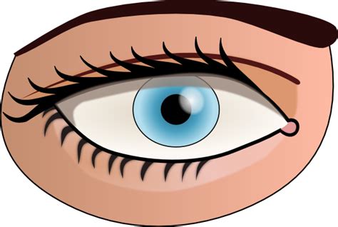 Clipart Pictures Of Eyes Clipart Best