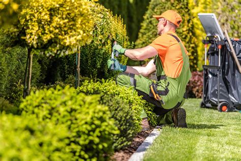 Landscaping Workers Compensation Underwrite Insurance Services