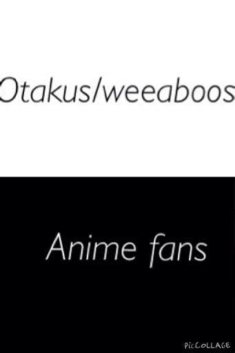 Anime Fans Vs Weeaboos And Otakus Wiki Anime Amino