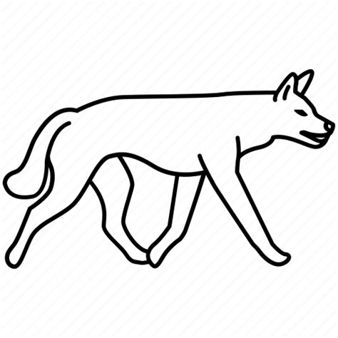 Australia Canine Dingo Dog Feral Fox Wild Icon