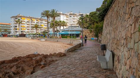 Visita Playa De Fenals En Lloret De Mar Tours And Actividades