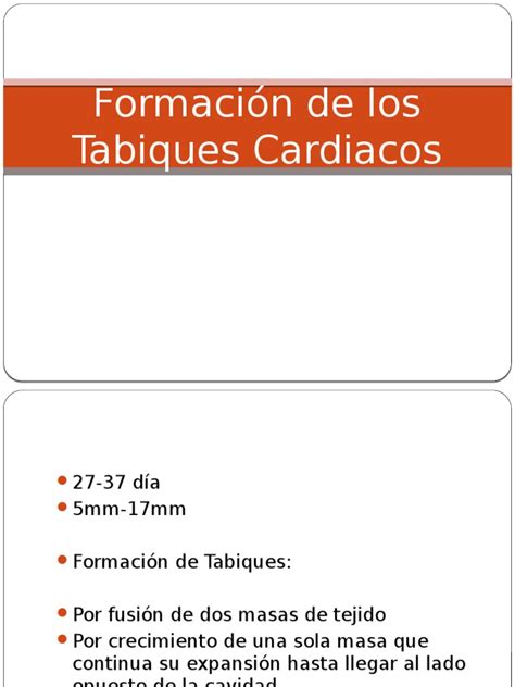 Formación De Los Tabiques Cardiacos Pdf