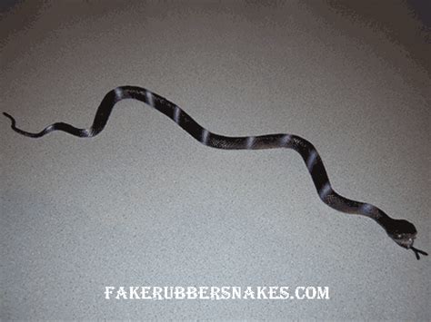 25 Inch Straight Striped Fake Snake