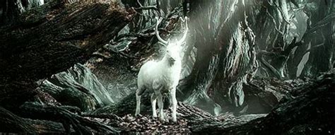 White Stag In Mirkwood Middle Earth Aesthetic  The Hobbit