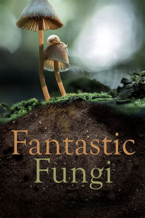 Fantastic Fungi Movie Synopsis Summary Plot And Film Details